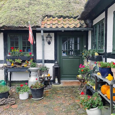 The Foresters House- Idyllic Tranquility- Non Smokers Only Store Heddinge Esterno foto