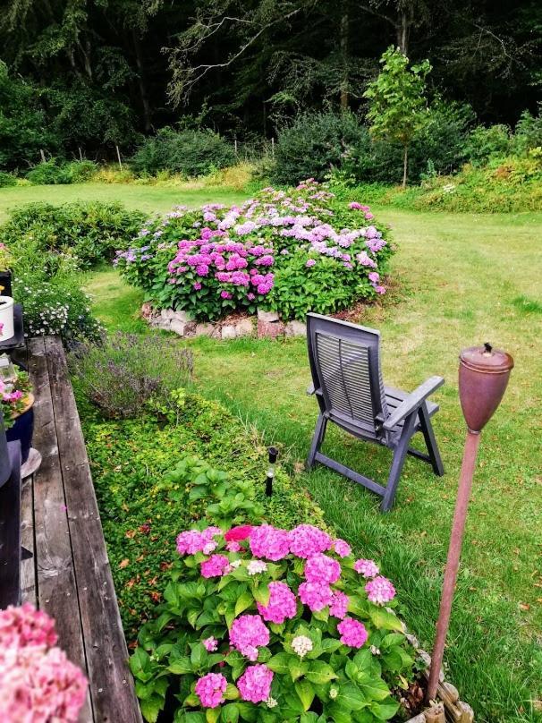 The Foresters House- Idyllic Tranquility- Non Smokers Only Store Heddinge Esterno foto