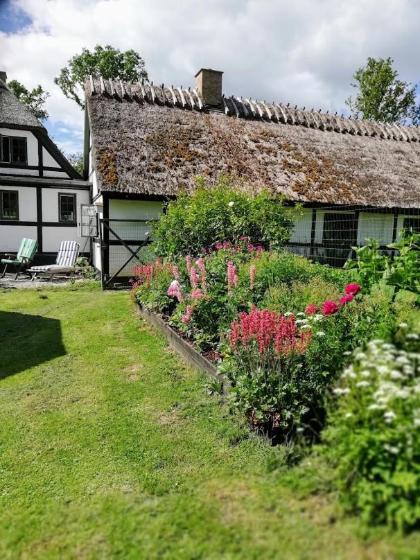 The Foresters House- Idyllic Tranquility- Non Smokers Only Store Heddinge Esterno foto