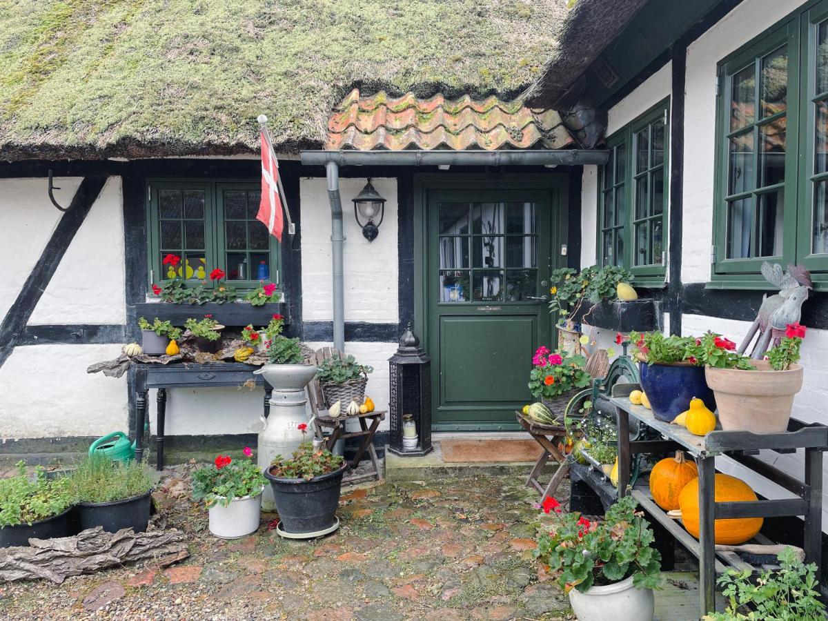 The Foresters House- Idyllic Tranquility- Non Smokers Only Store Heddinge Esterno foto