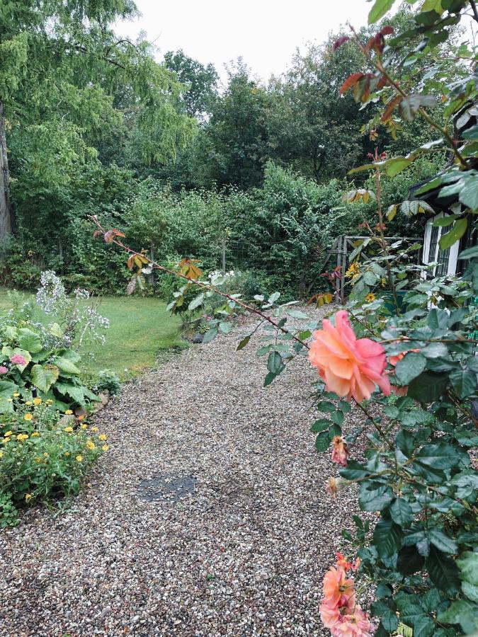 The Foresters House- Idyllic Tranquility- Non Smokers Only Store Heddinge Esterno foto